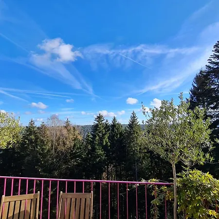 Panorama Haus Auf Dem Sommerberg Im Schwarzwald Nyaraló
