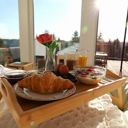 Panorama Haus Auf Dem Sommerberg Im Schwarzwald