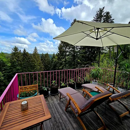 Panorama Haus Auf Dem Sommerberg Im Schwarzwald Nyaraló Bad Wildbad