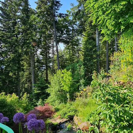 Nyaraló Panorama Haus Auf Dem Sommerberg Im Schwarzwald